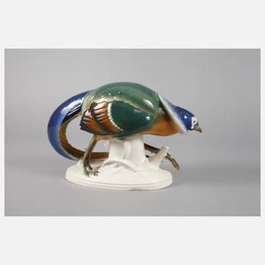 Volkstedt Fasan Arthur Storch