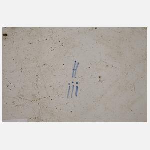 Fayenceplatte Straßburg-Hagenau