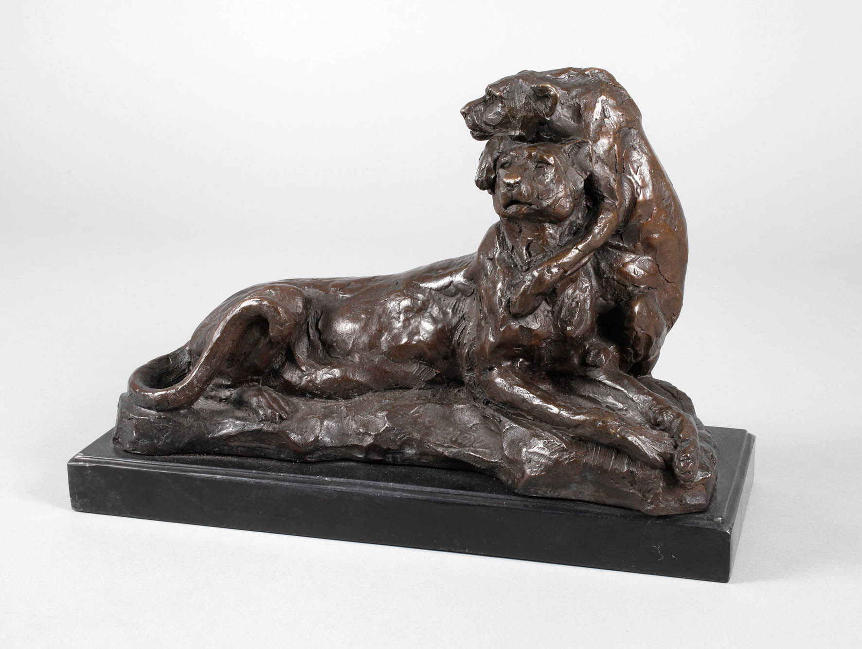 B. C. Zheng, Löwengruppe