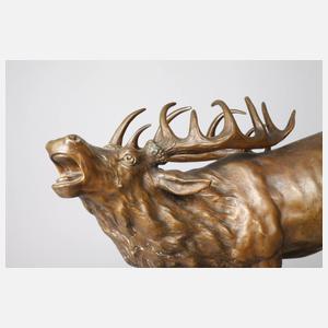 Ferdinand Lugerth röhrender Hirsch