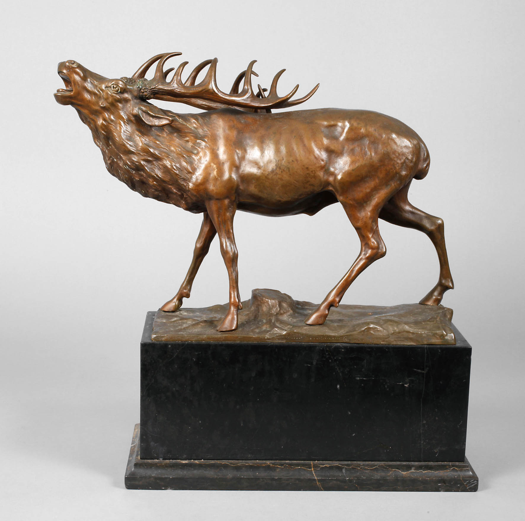 Ferdinand Lugerth röhrender Hirsch