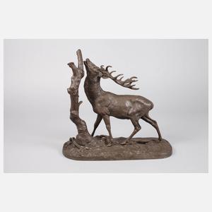 Kapitaler röhrender Hirsch