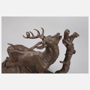 Kapitaler röhrender Hirsch