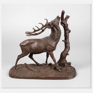 Kapitaler röhrender Hirsch