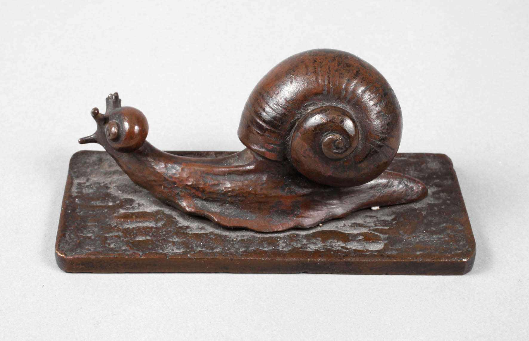 Kleinbronze Schnecke