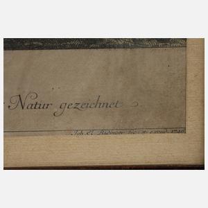 Johann Elias Ridinger, B?renjagdszene