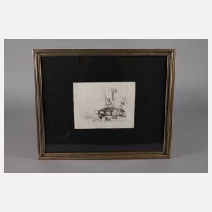 Francesco Novelli, nach Rembrand, ”Das Schwein”