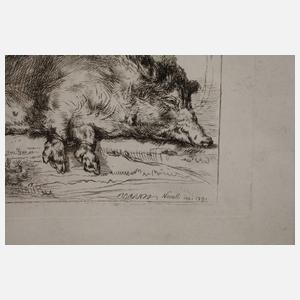 Francesco Novelli, nach Rembrand, ”Das Schwein”