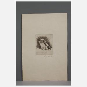 Prof. Richard Müller, ”Pekinese sitzend”