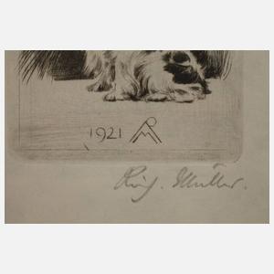 Prof. Richard Müller, ”Pekinese sitzend”