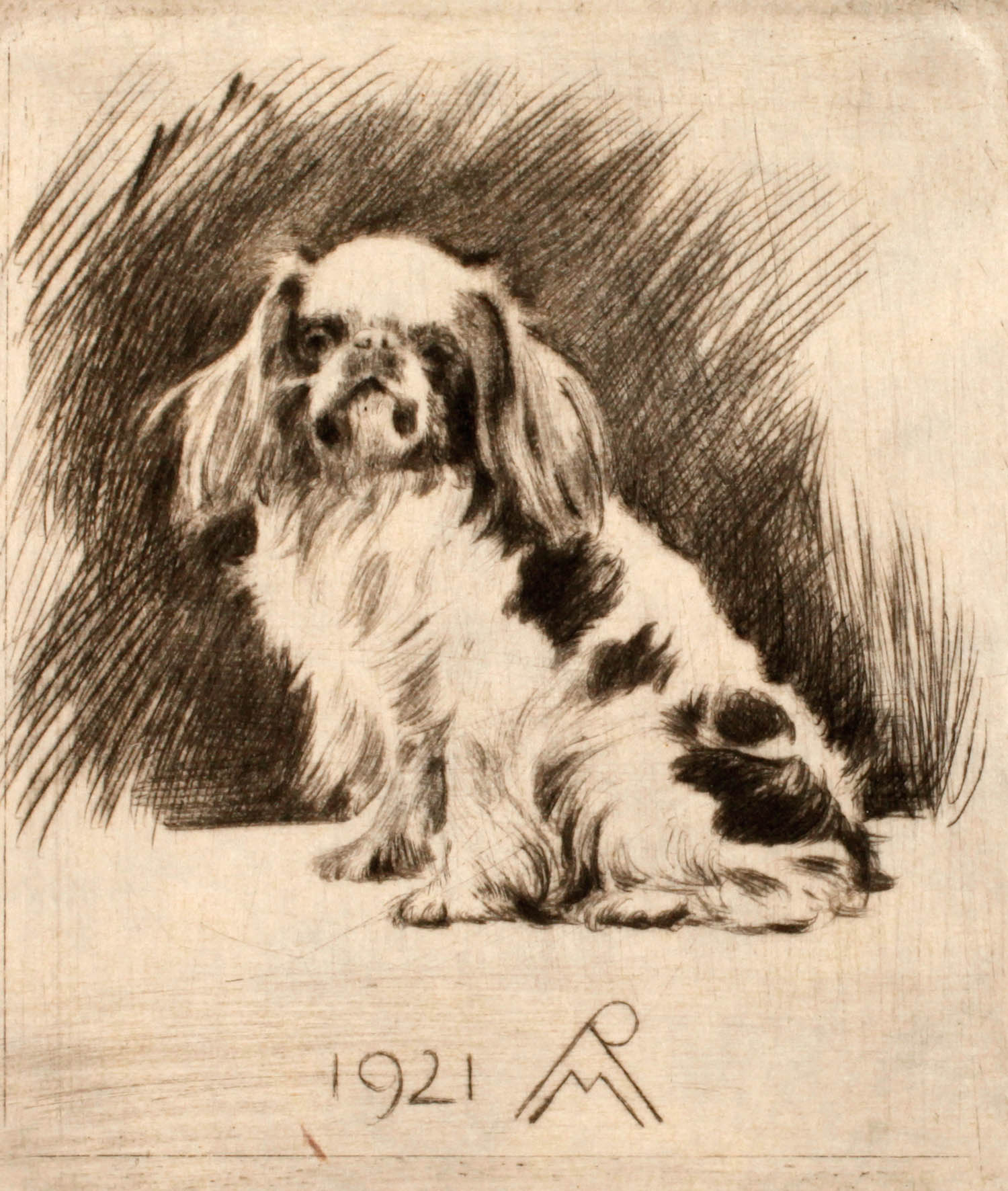 Prof. Richard Müller, ”Pekinese sitzend”