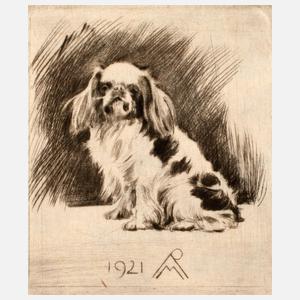 Prof. Richard Müller, ”Pekinese sitzend”