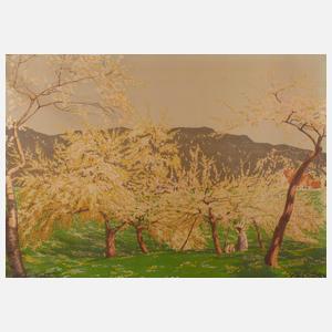 Karl Biese, Fr?hling im Schwarzwald