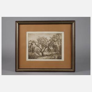 Fritz Cobet, ”Apfelbaum”