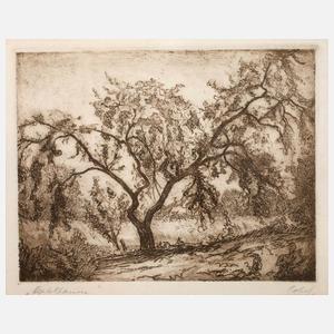 Fritz Cobet, ”Apfelbaum”