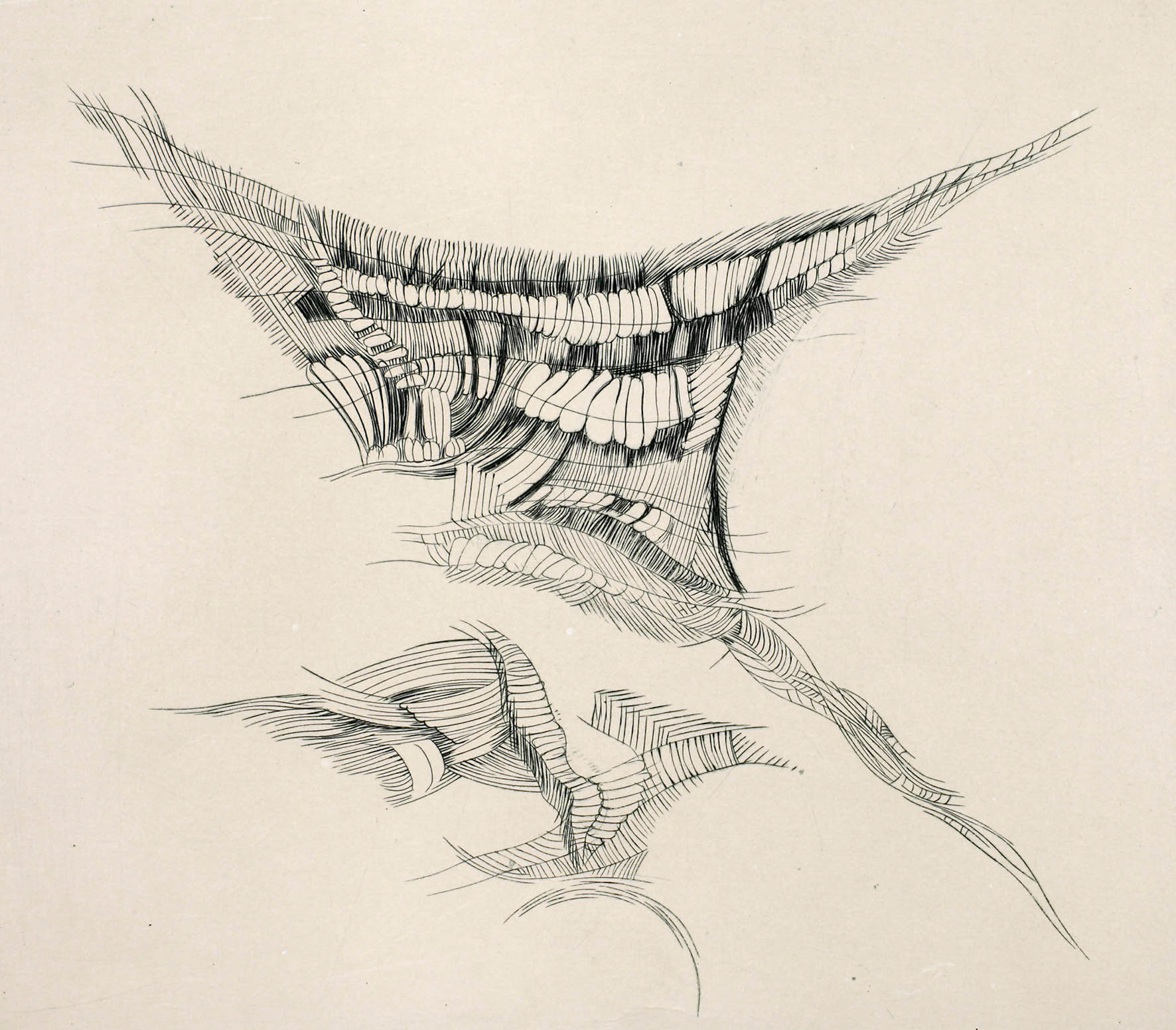 Ferdinand Springer, ”Oscillations”