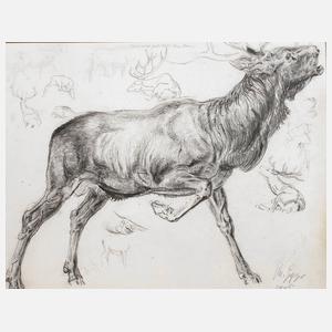 Prof. Ernst Moritz Geyger, Hirschstudie