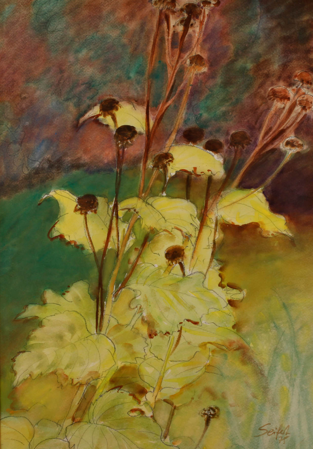 Seifert, Gartenstillleben