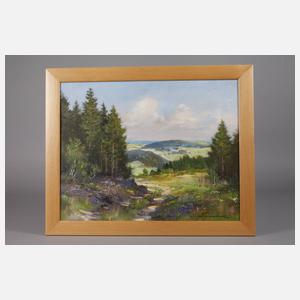 Manfred Feiler, ”Blick ins Vogtland”