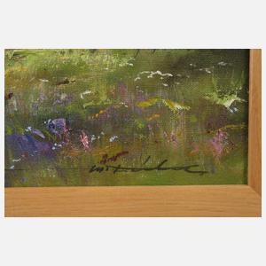 Manfred Feiler, ”Blick ins Vogtland”