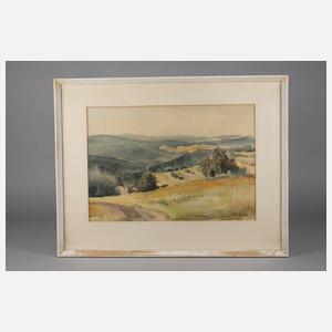 Fickert, Horst, sommerliche vogtländische Landschaft