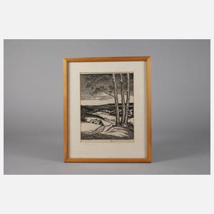 Richard Grimm-Sachsenberg, ”Im Aschberg-Gebiet”