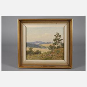 Siegfried Hauffe, Vogtlandlandschaft