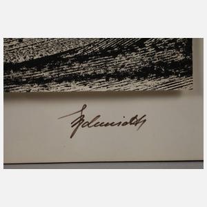 Martin Schmidt, ”Regenschauer”