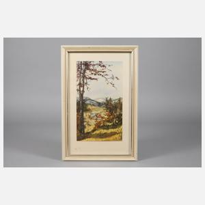 Maritta Seybold, Vogtlandlandschaft