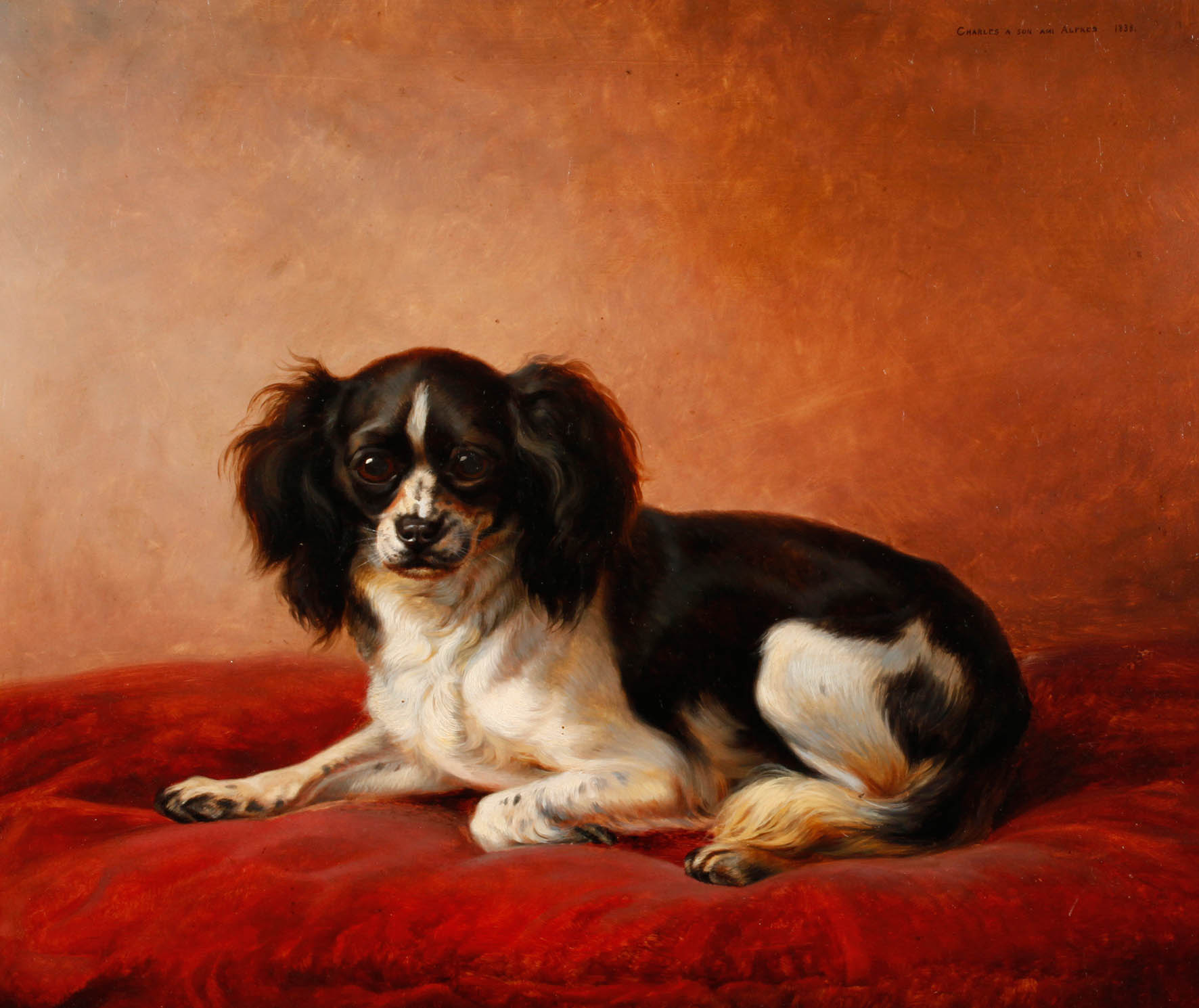 Charles, Hundeportrait