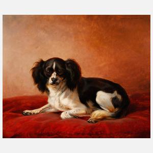 Charles, Hundeportrait