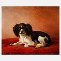 Charles, Hundeportrait111