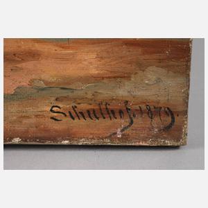 Schulhof, Fluss im Hochgebirge