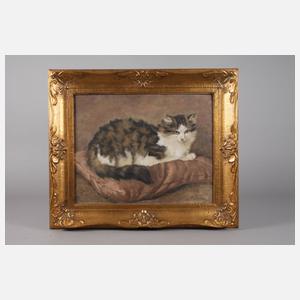 Julius Maria Adam, Katzenportrait