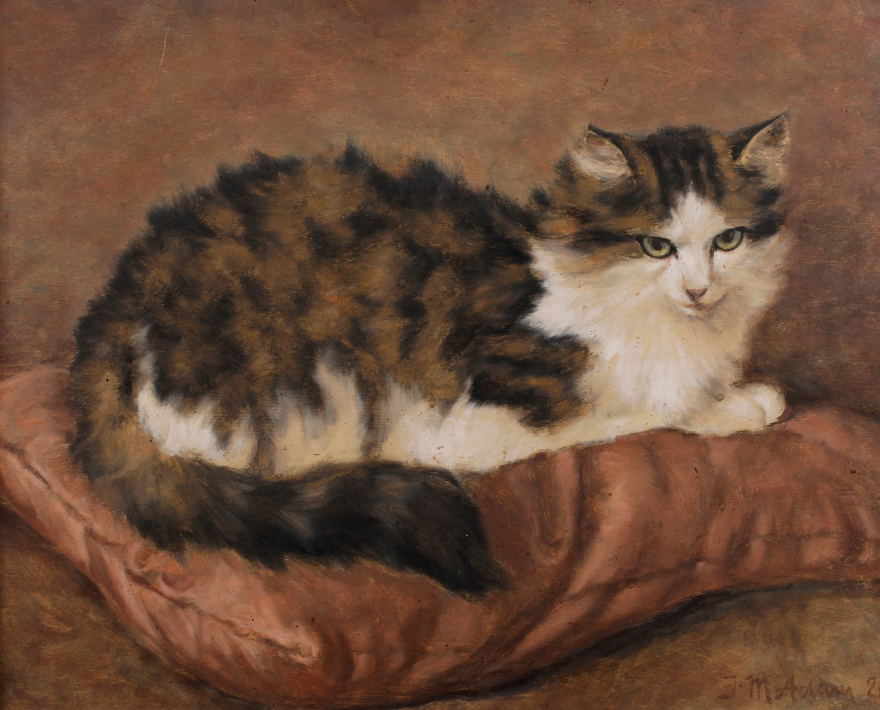 Julius Maria Adam, Katzenportrait