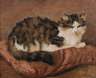 Julius Maria Adam, Katzenportrait
