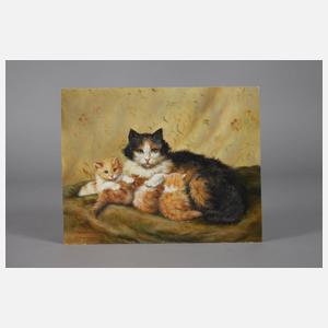 Edward O. Wilson, Katzenbild