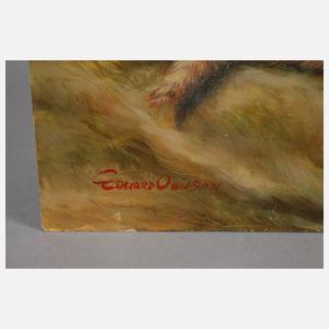 Edward O. Wilson, Katzenbild