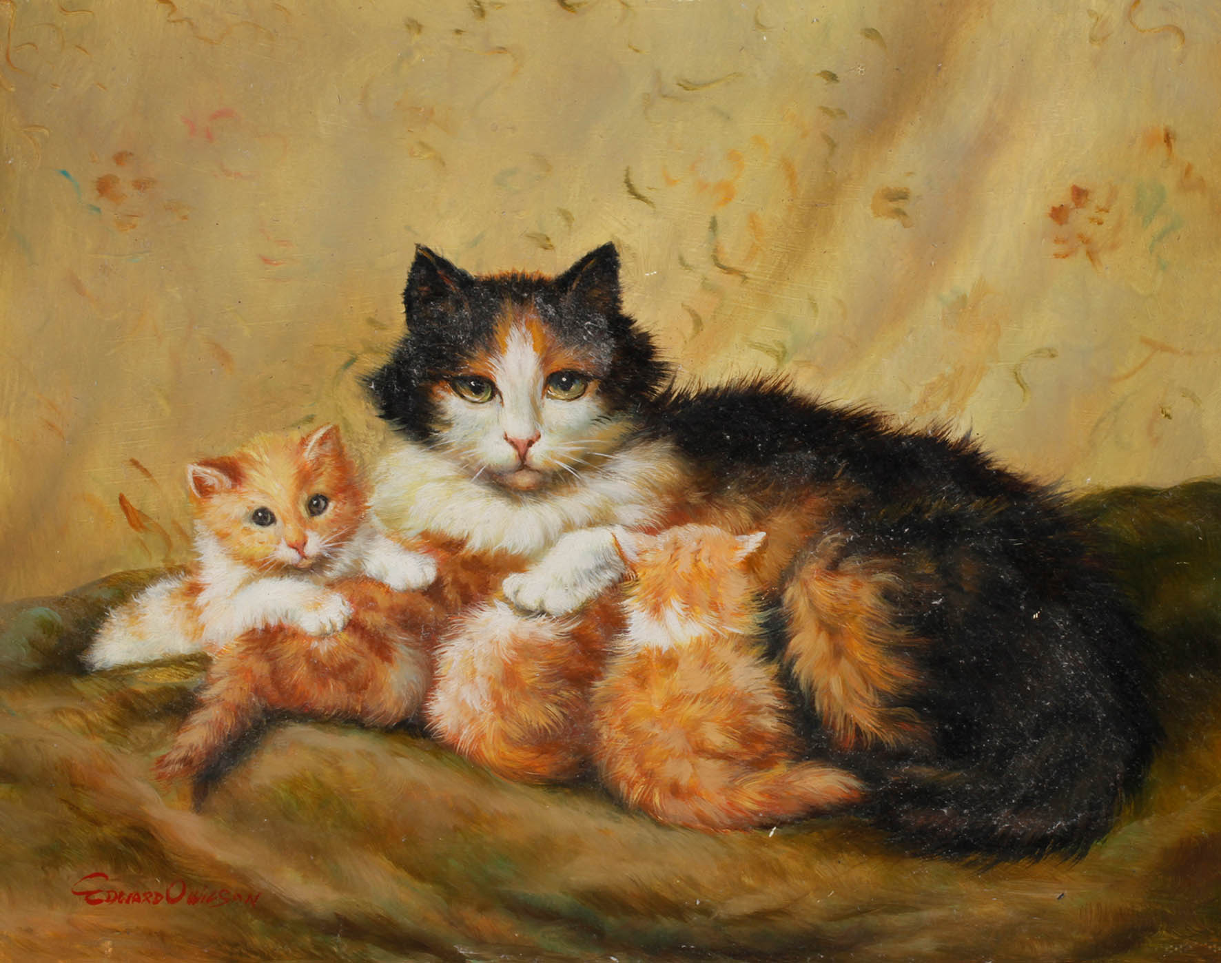 Edward O. Wilson, Katzenbild