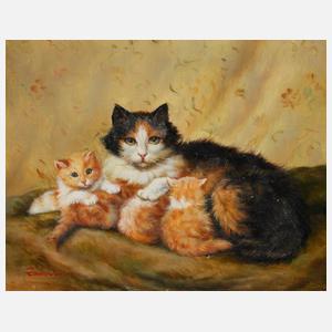 Edward O. Wilson, Katzenbild