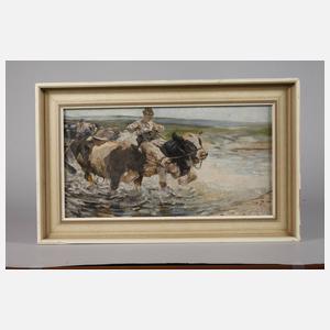 Kühe in ungarischer Puszta