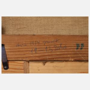 Kühe in ungarischer Puszta