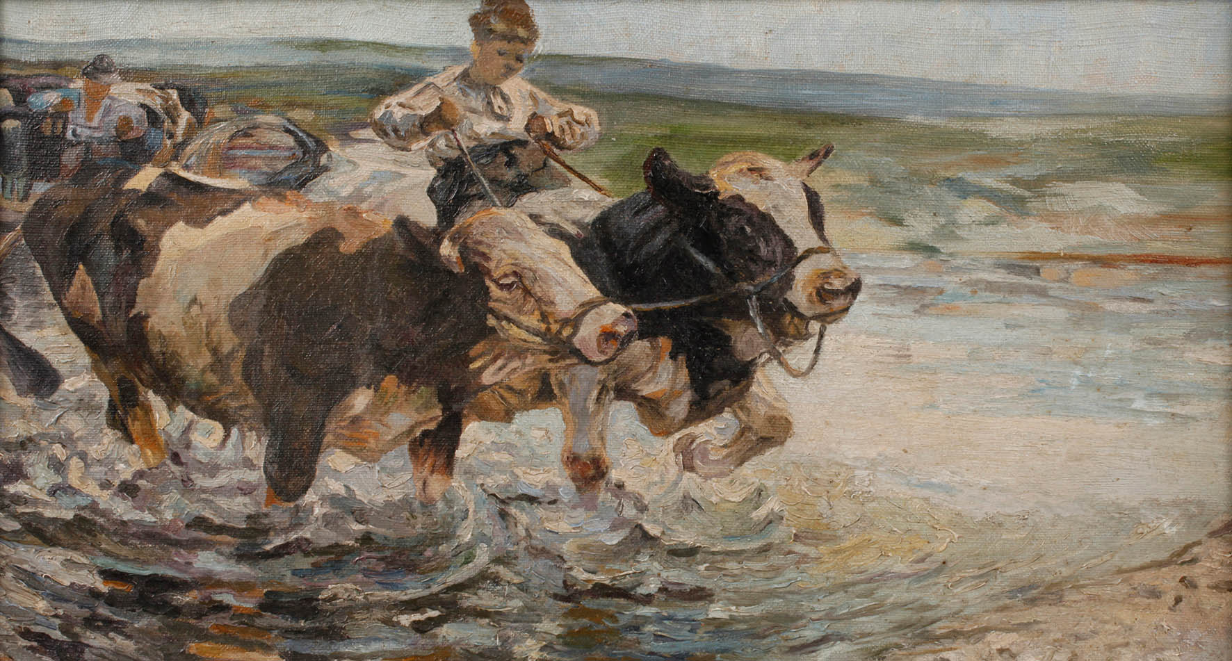 Kühe in ungarischer Puszta