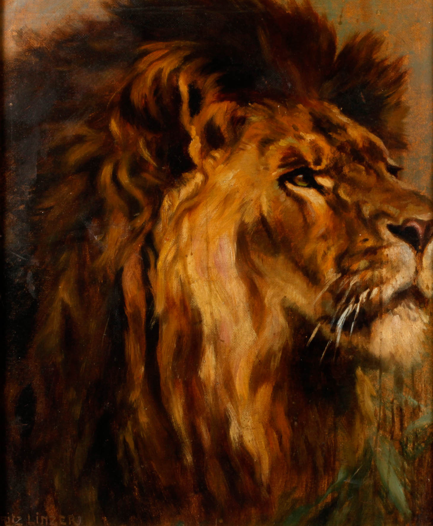 Fritz Linzer, Löwenportrait