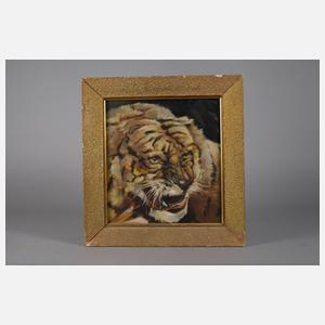 H. Peerson, Tigerportrait