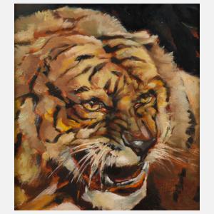 H. Peerson, Tigerportrait