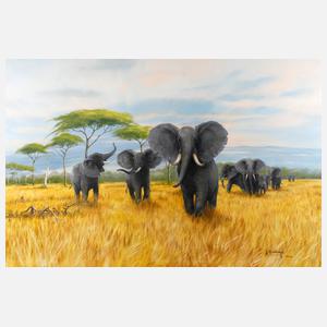 Gernot Rasenberger, Elefanten in der Savanne