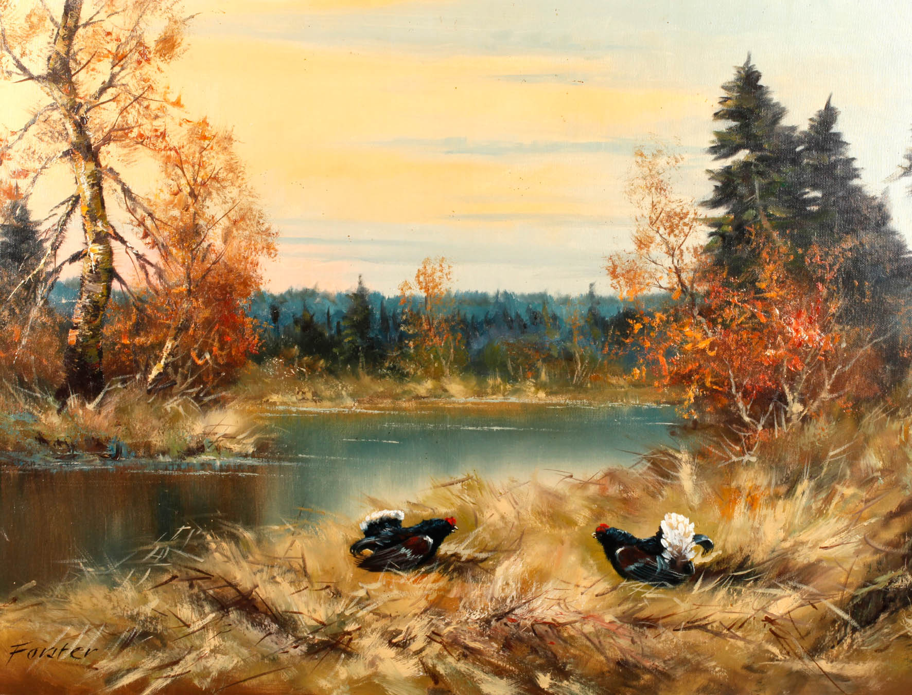 Forster, Balzende Auerhähne