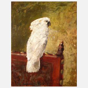 Dr. Gyula von Madarász, Weißhaubenkakadu auf Stuhllehne