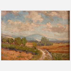 Heinrich Zernin, Südhessische Landschaft